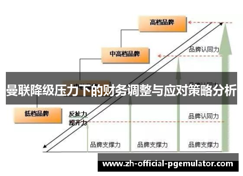 曼联降级压力下的财务调整与应对策略分析