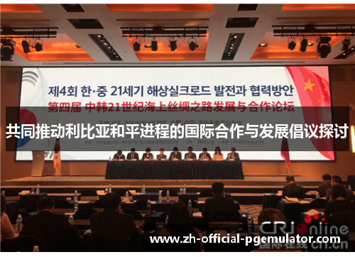 共同推动利比亚和平进程的国际合作与发展倡议探讨