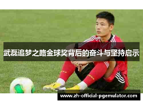 武磊追梦之路金球奖背后的奋斗与坚持启示