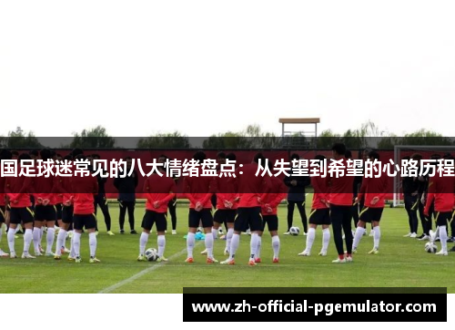 国足球迷常见的八大情绪盘点：从失望到希望的心路历程