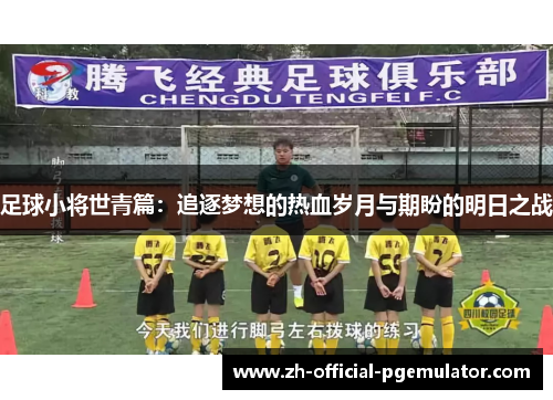 足球小将世青篇：追逐梦想的热血岁月与期盼的明日之战
