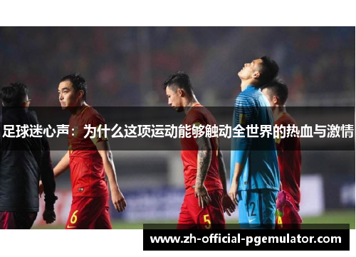 足球迷心声：为什么这项运动能够触动全世界的热血与激情