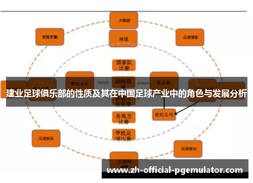 建业足球俱乐部的性质及其在中国足球产业中的角色与发展分析