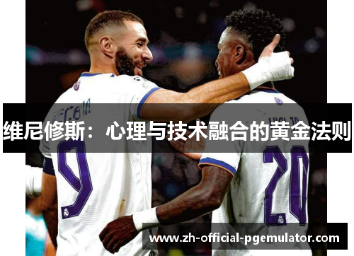 维尼修斯：心理与技术融合的黄金法则