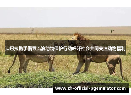 迪巴拉携手倡导流浪动物保护行动呼吁社会共同关注动物福利 迪巴拉携手倡导流浪动物保护行动呼吁社会共同关注动物福利