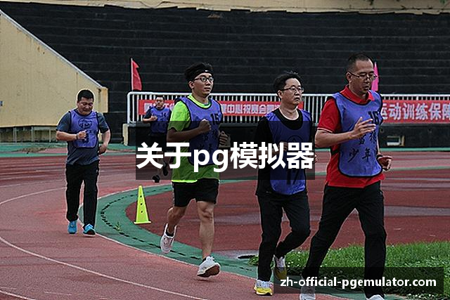 关于pg模拟器